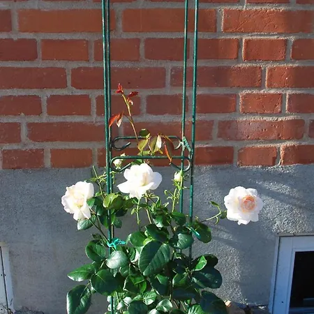 Karolinelund Bed & Breakfast